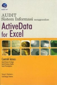 Image of AUDIT Sistem Informasi menggunakan Active Data for Excel
